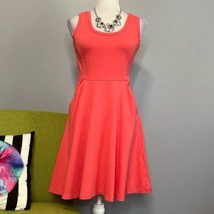 Fashionable women's dresses, women's skirt above the knee